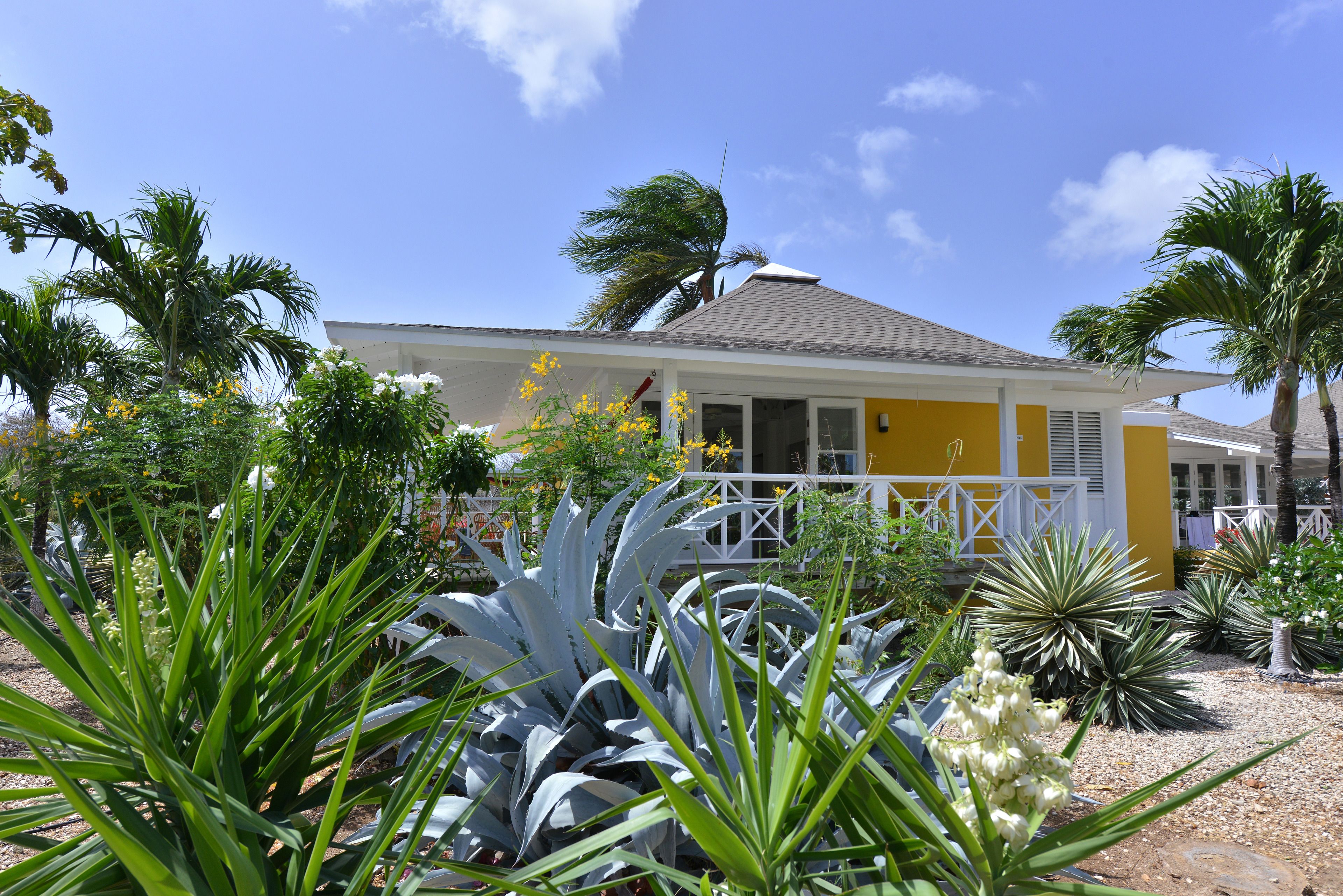 Jardin