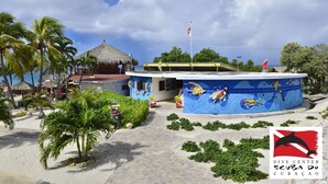 Centro de buceo con un mural que muestra buzos, palmeras y un edificio de techo de paja.