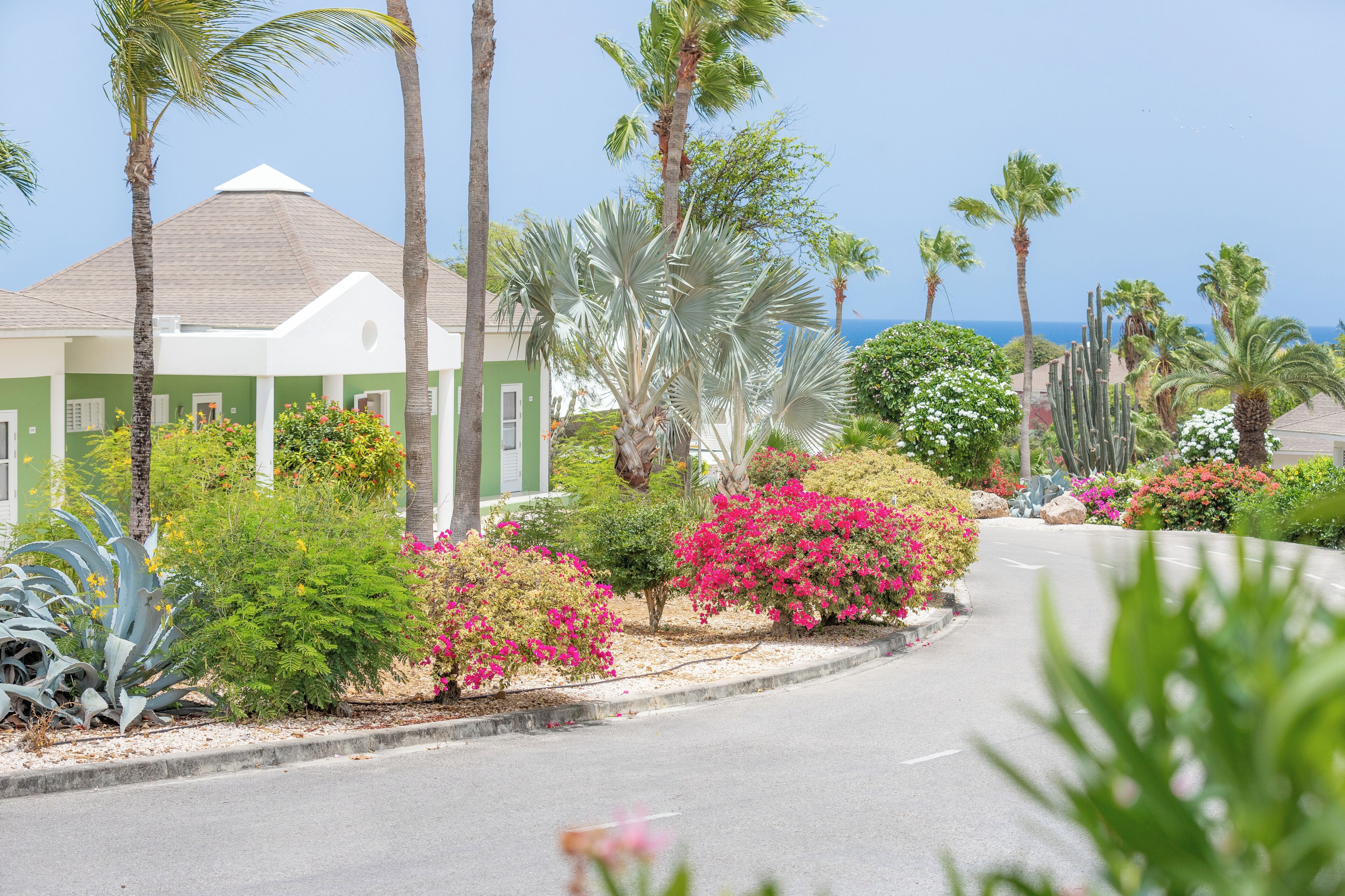 Photo - Chogogo Dive & Beach Resort Curacao