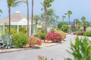 Land view from property - Chogogo Dive & Beach Resort Curacao (Jan Thiel)