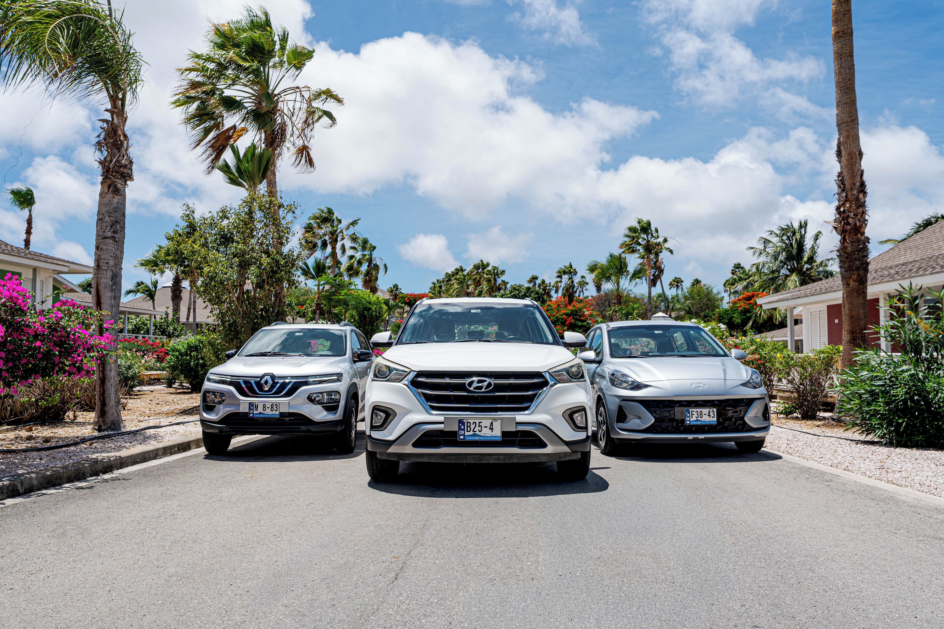 Three cars parked on a street with palm trees and flowering plants in the background.