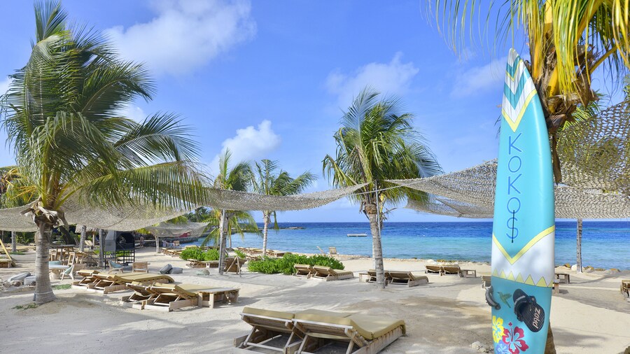 Chogogo Dive & Beach Resort Curacao