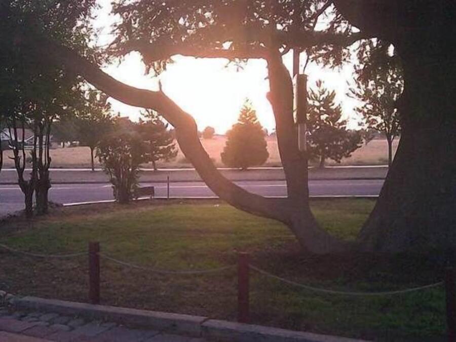 Vistas desde el alojamiento