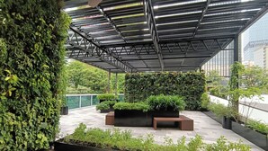 Jardín interior con estructura de techo metálico, un banco y diversas plantas.