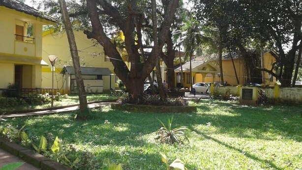 A courtyard with a large tree, a pathway, and a yellow building with a balcony. - Old Goa Residency (Panaji)