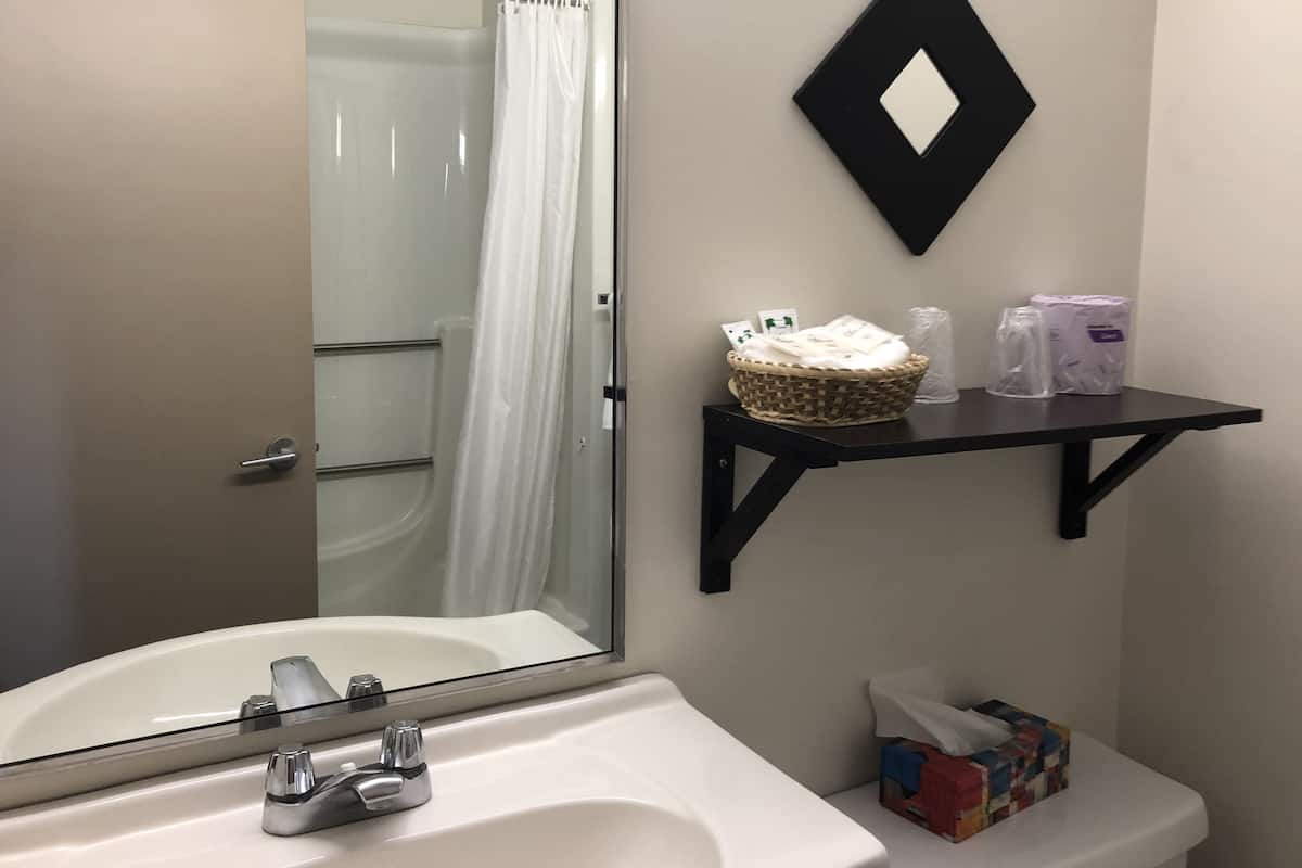 Chambre Standard, 1 grand lit, bain à remous | Douche de la salle de bain