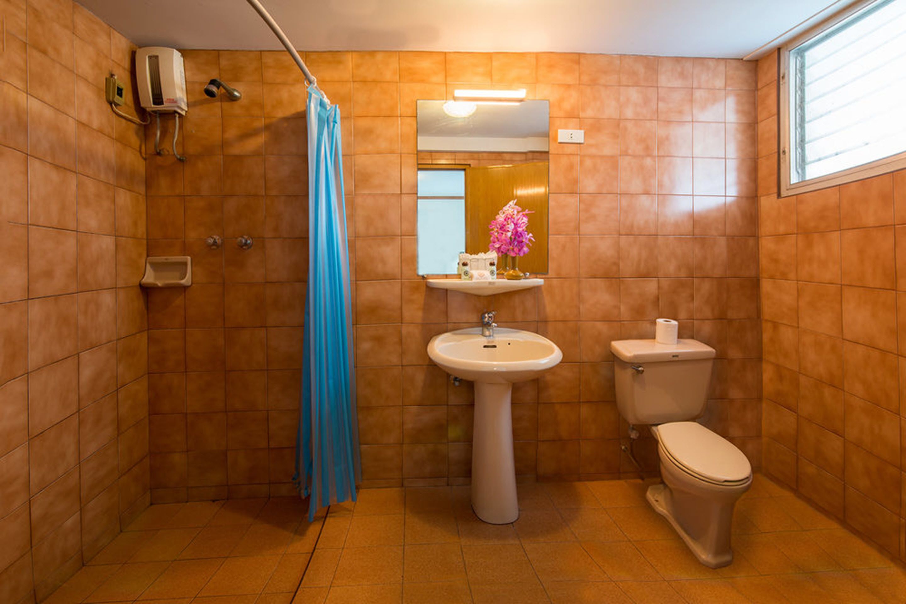 Une salle de bain équipée d’une douche, d’un lavabo, de toilettes et d’un miroir avec un éclairage au-dessus.