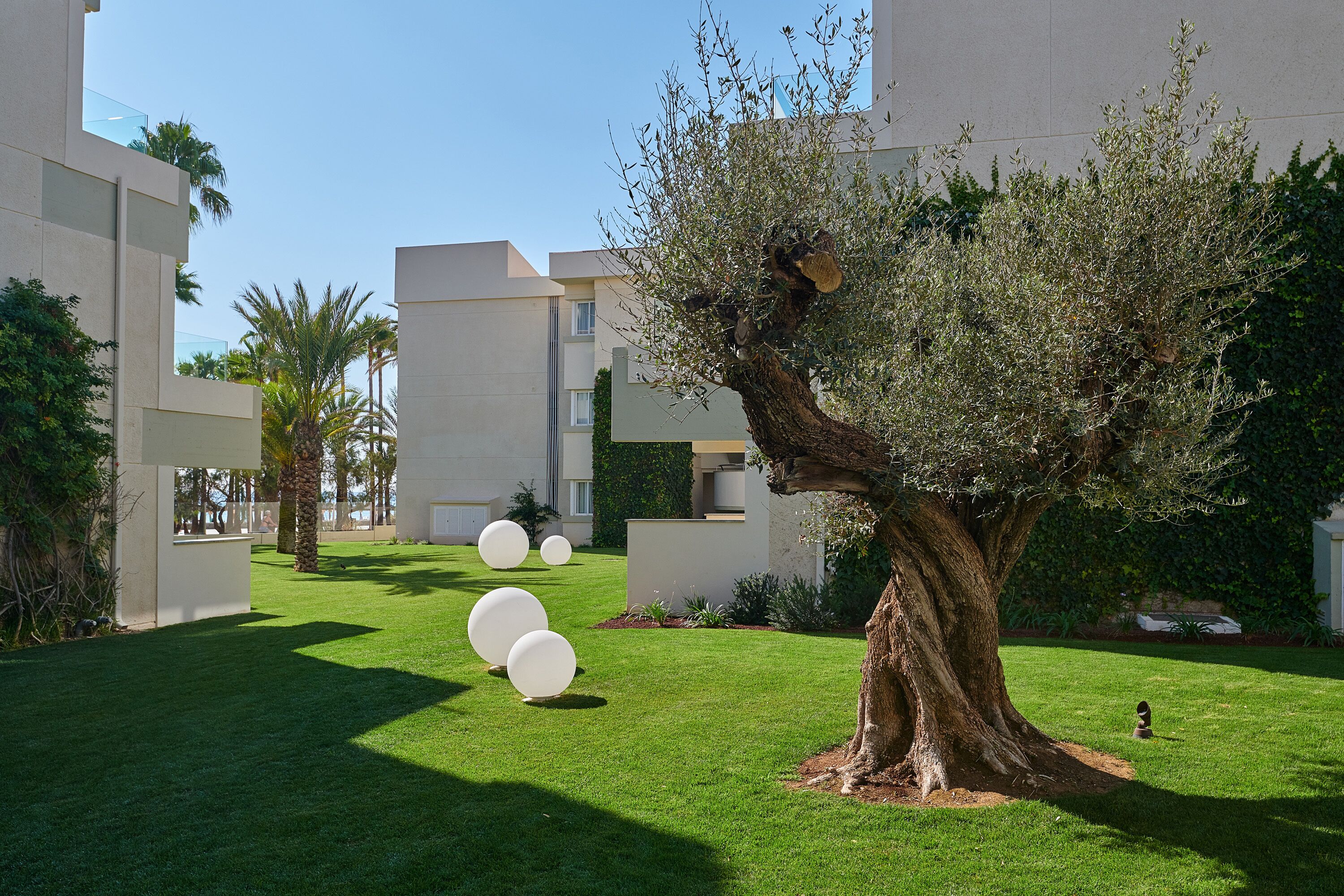 Foto - Hipotels Mediterraneo Club