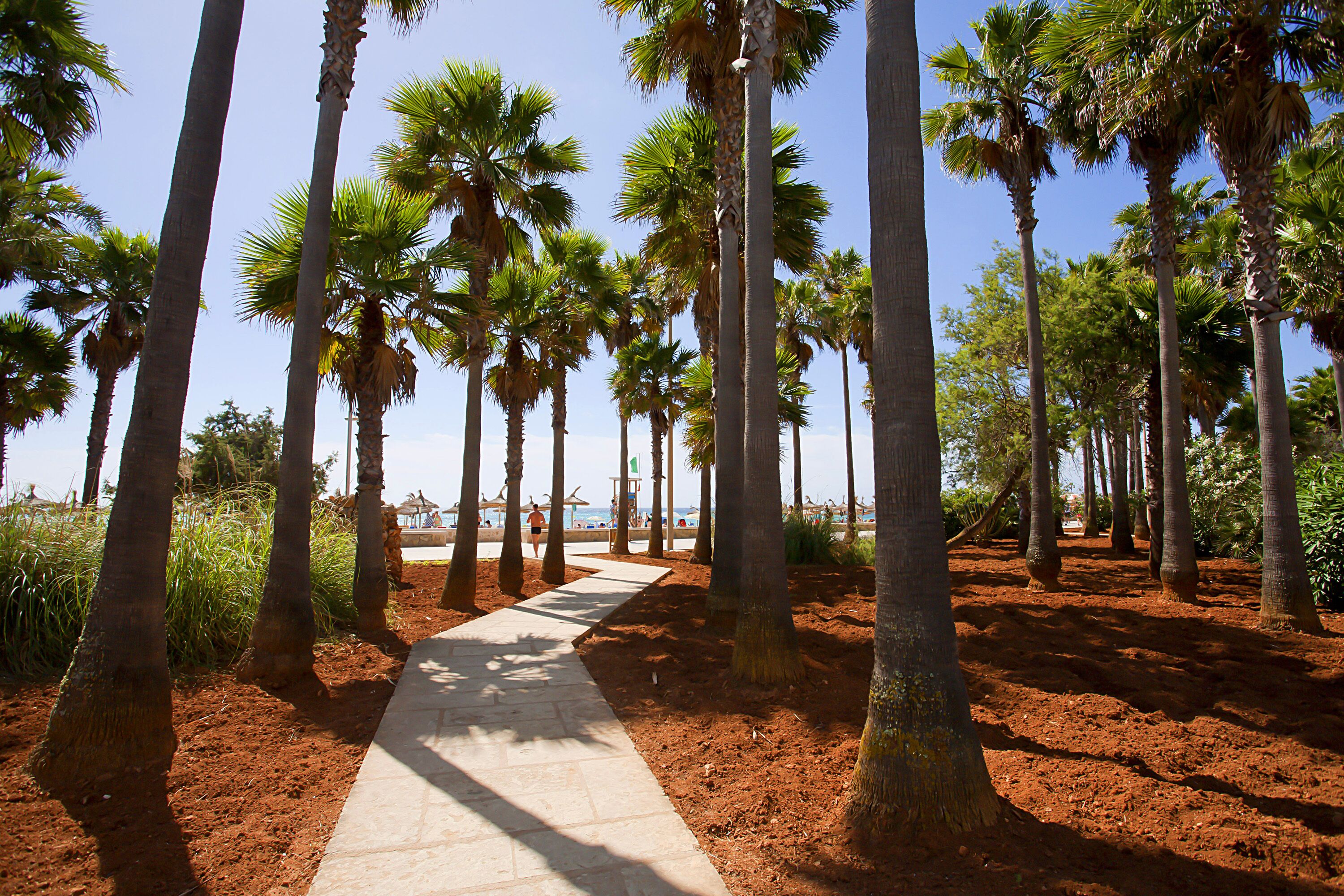 Foto - Hipotels Mediterraneo Club