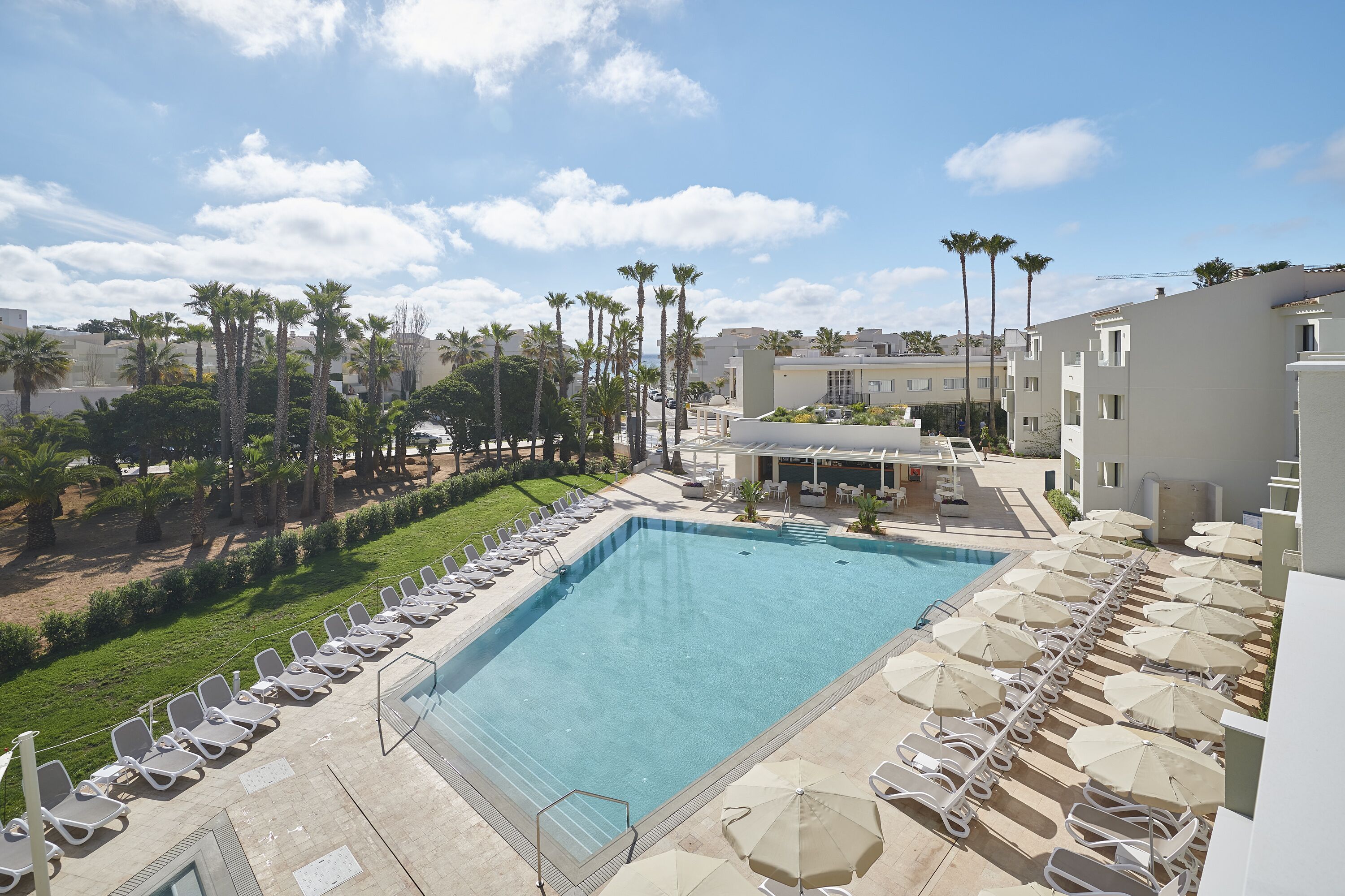 A swimming pool with lounge chairs and umbrellas, surrounded by palm trees and a building with a flat roof.