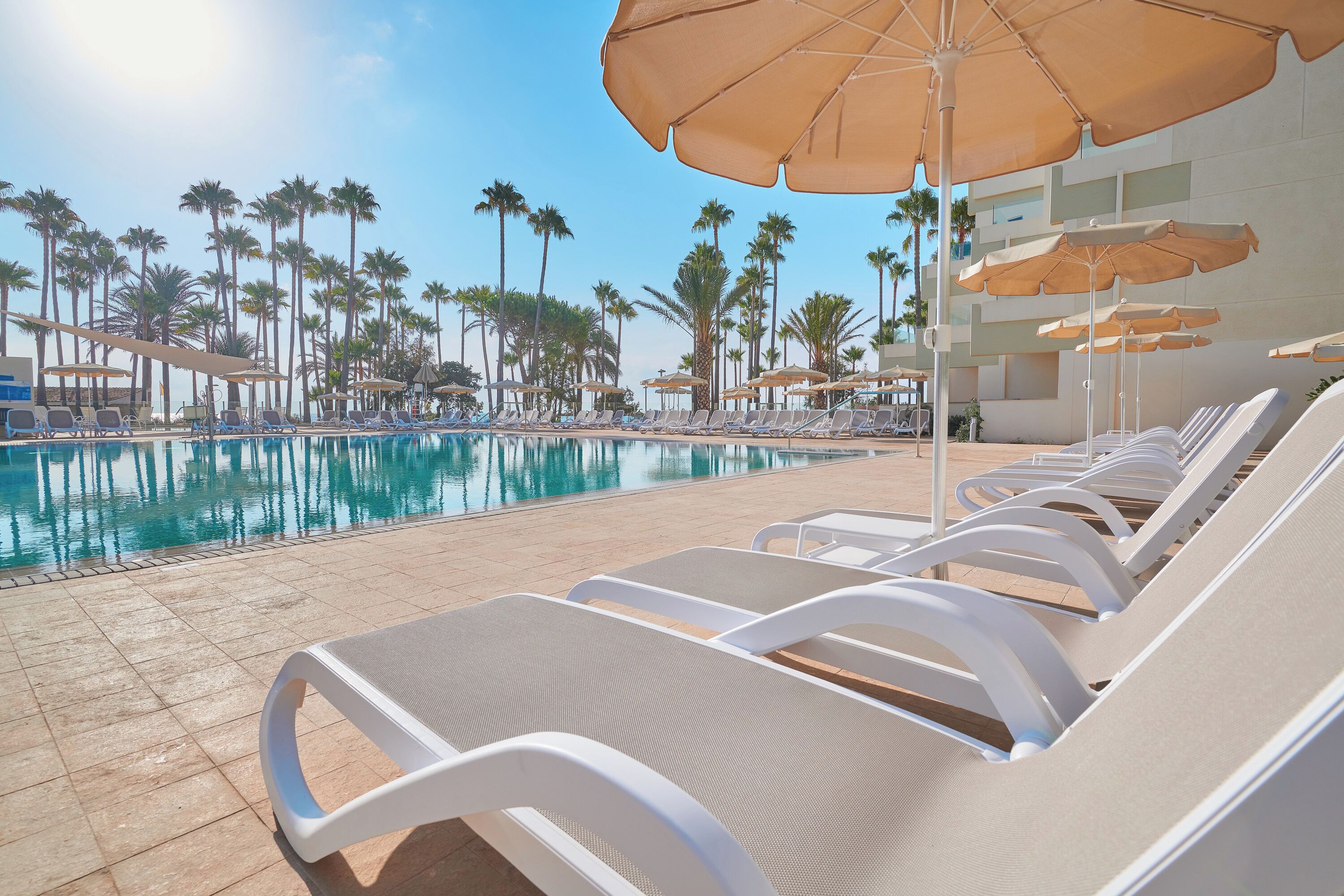 A poolside area with lounge chairs and umbrellas, palm trees in the background, and a clear sky.