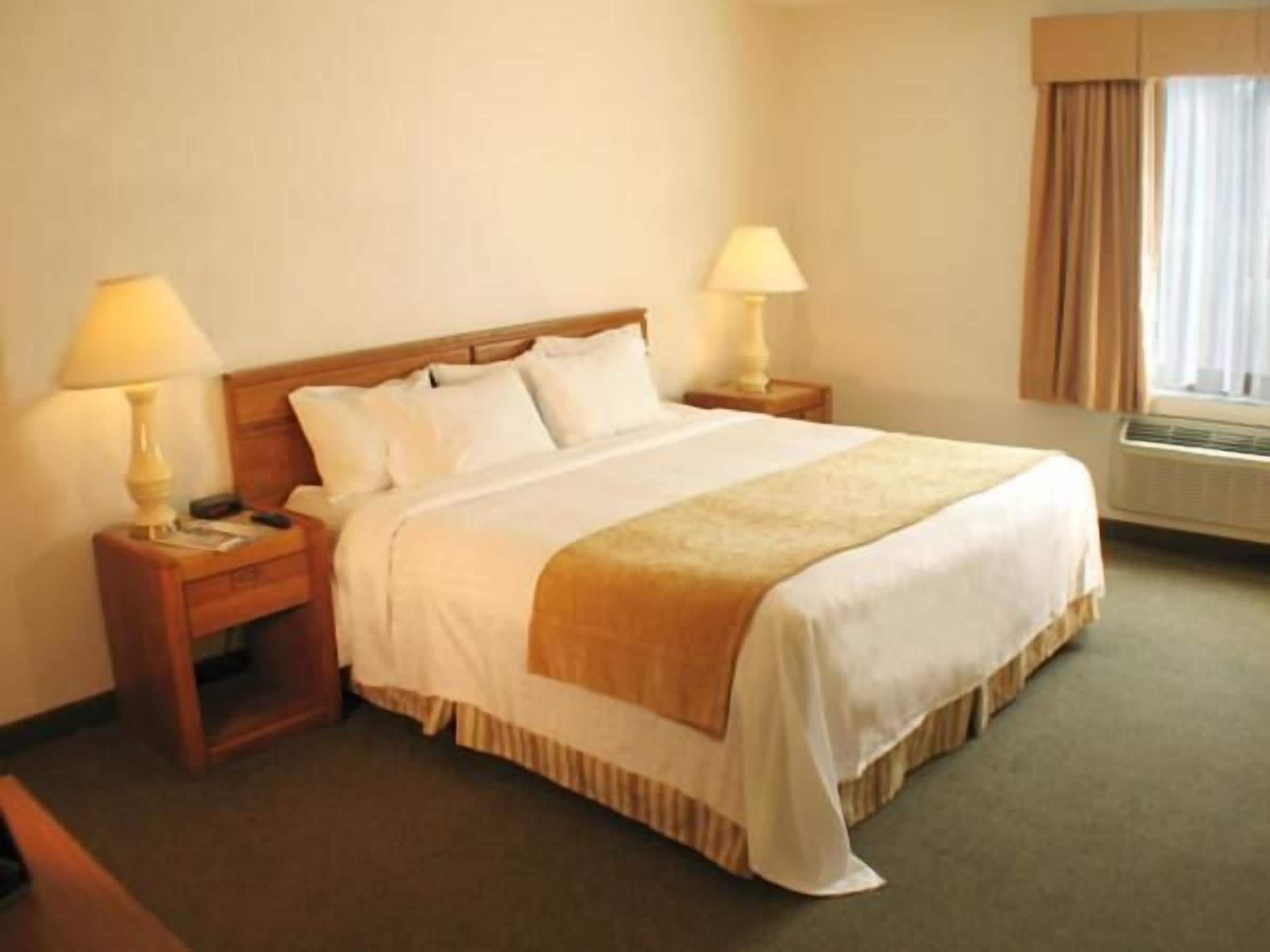 Double Room, Non Smoking | Premium bedding, desk, blackout curtains, iron/ironing board