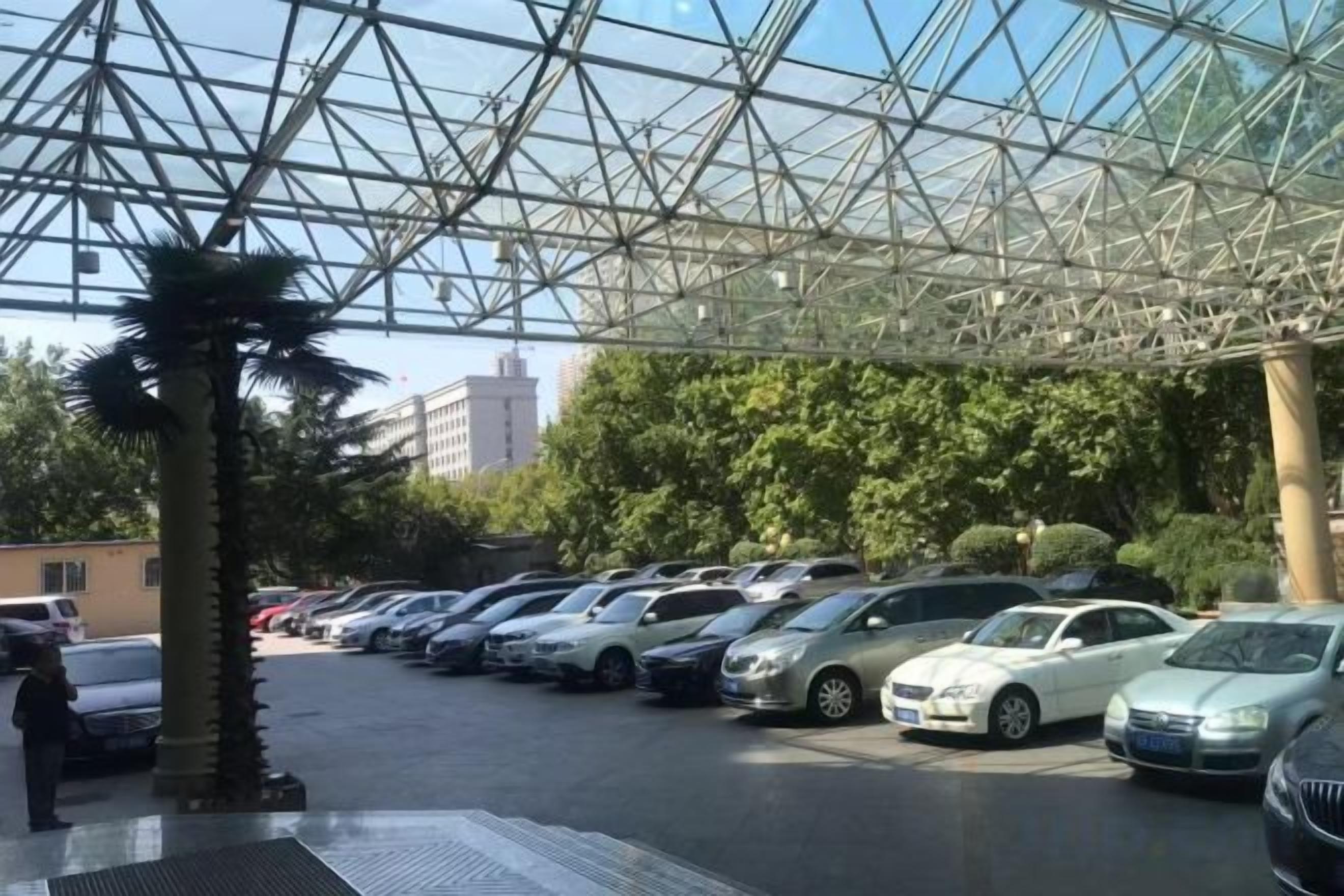 A covered parking area with multiple cars and a palm tree.