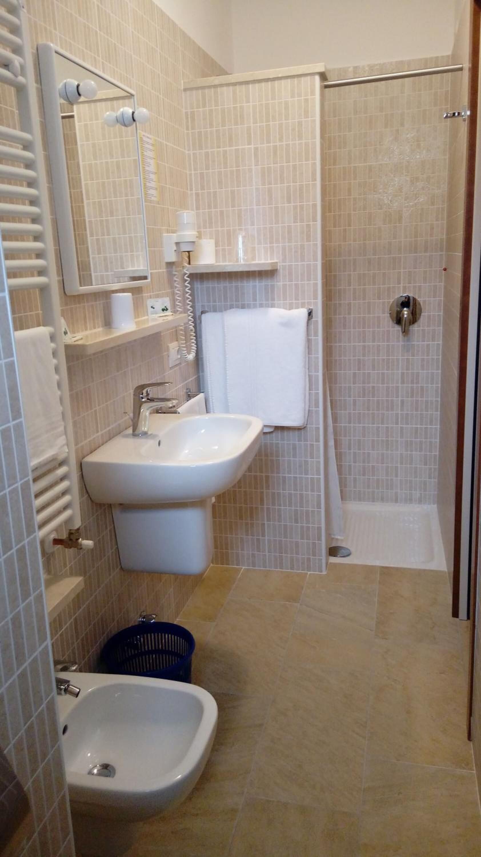 shower, free toiletries, hair dryer, bidet