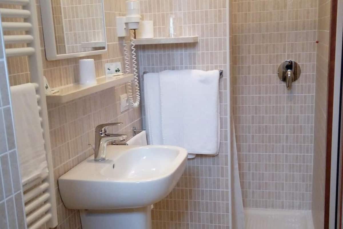 shower, free toiletries, hair dryer, bidet