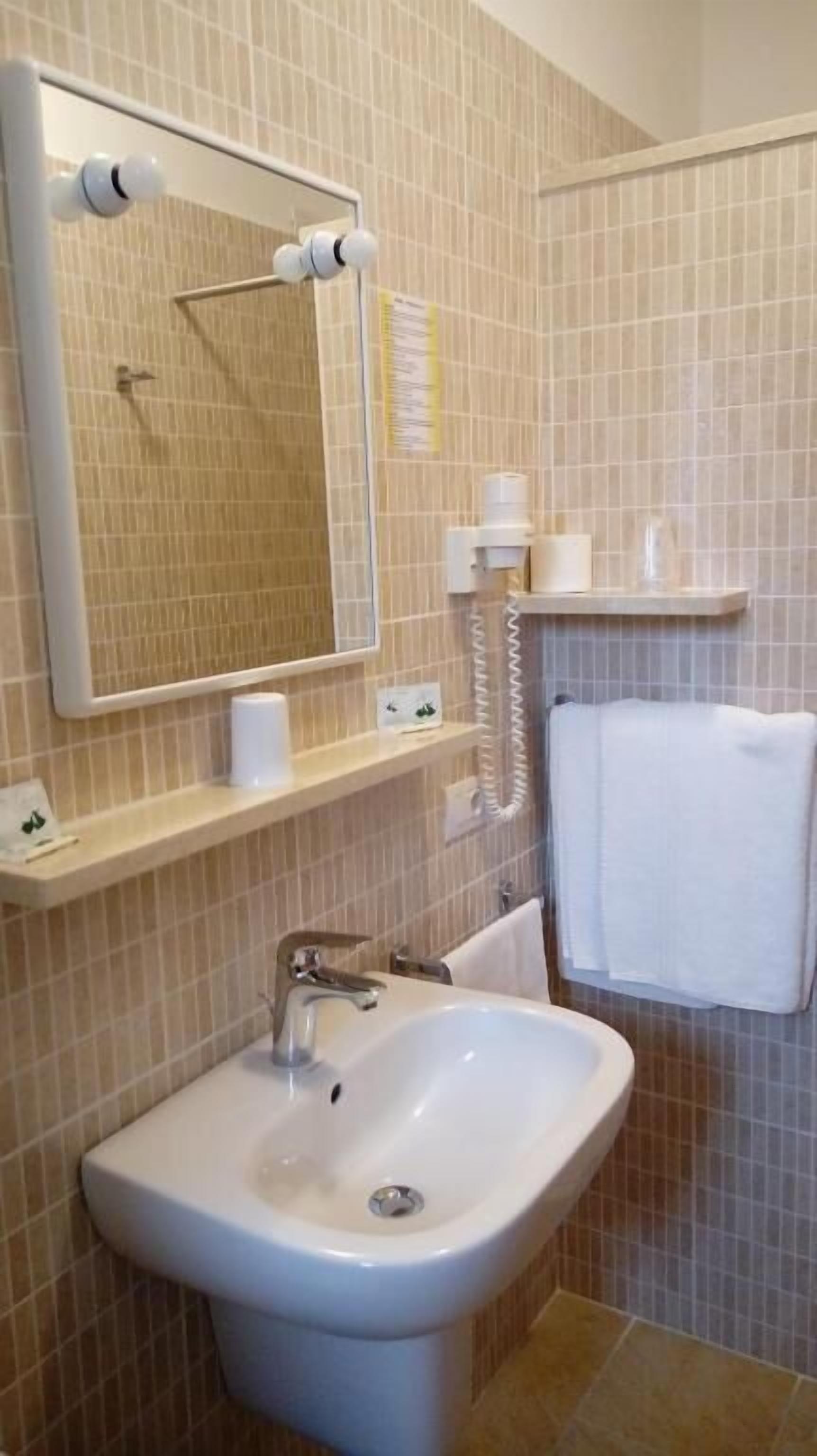 shower, free toiletries, hair dryer, bidet