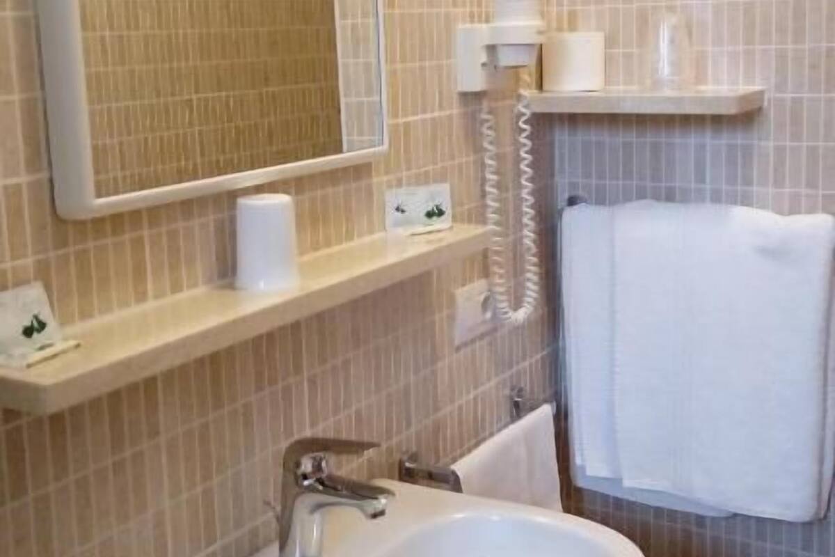 shower, free toiletries, hair dryer, bidet