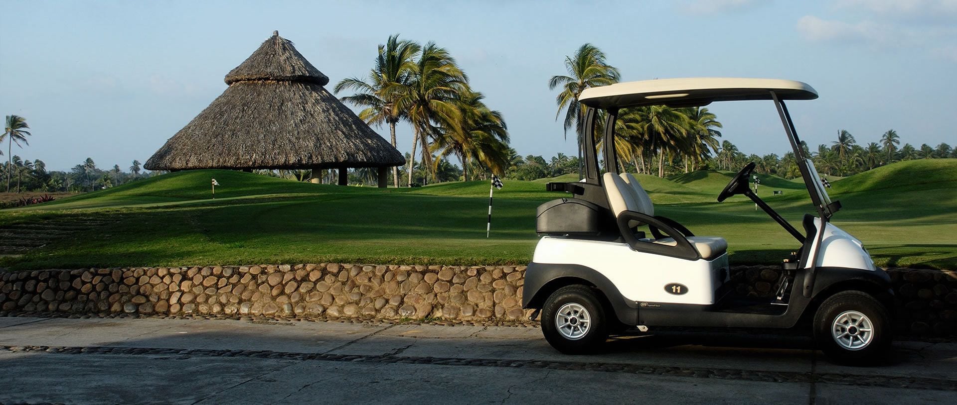 Een golftrolley geparkeerd op een weg, met een rieten dakgebouw en palmbomen op de achtergrond.