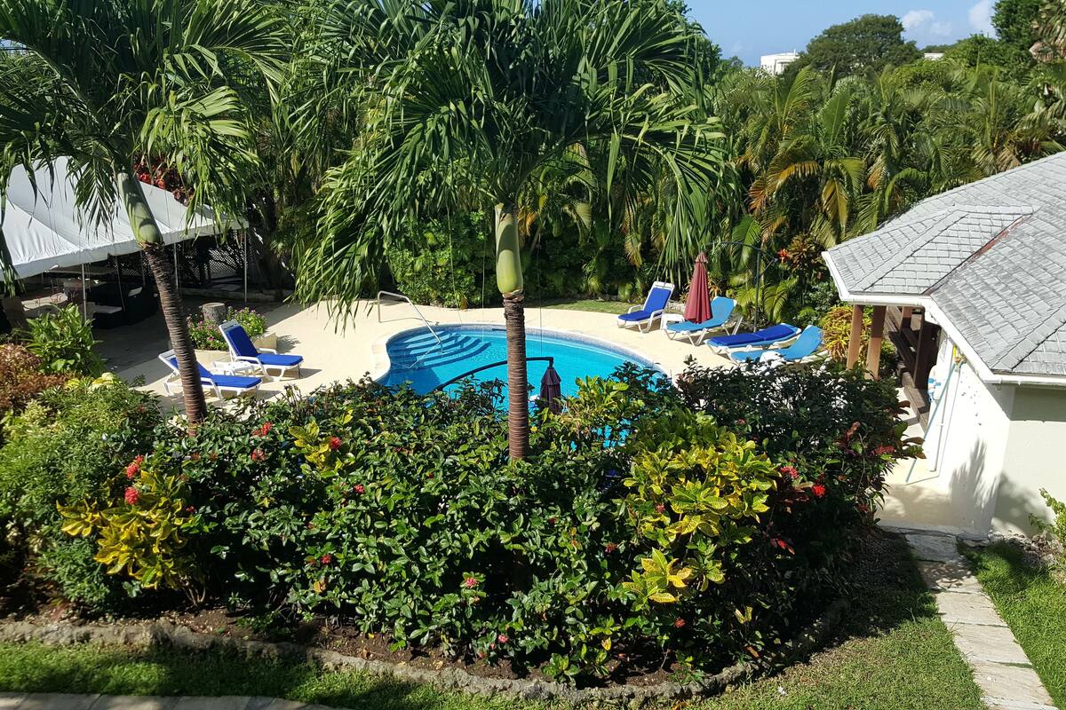Un área de piscina con sillones de descanso, rodeada de abundante vegetación y un edificio blanco.