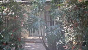 Garden - Dove's Nest Guest House (Kempton Park)