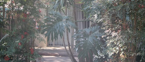 Jardín