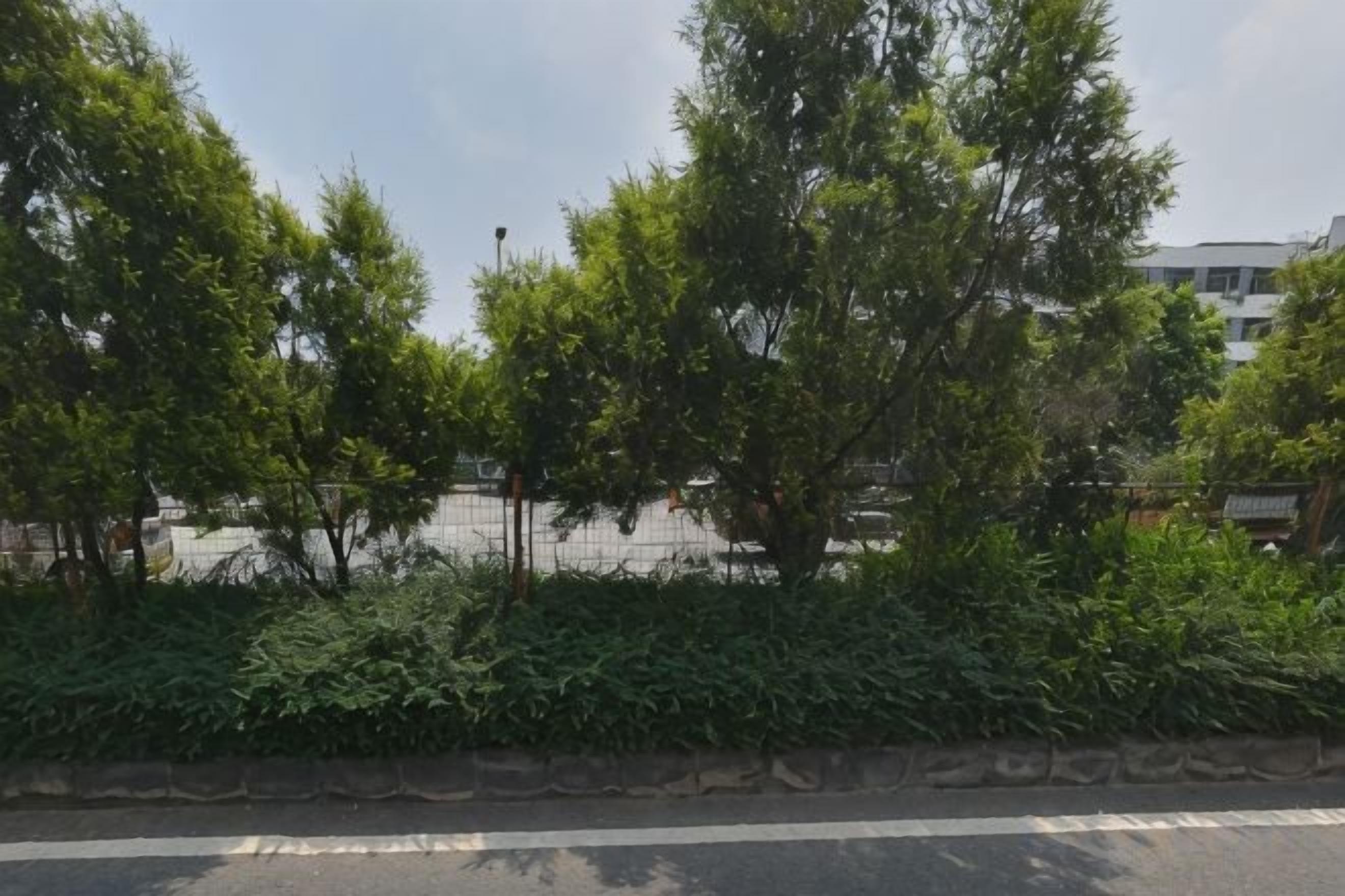 Una carretera con separador central bordeada de árboles y arbustos.