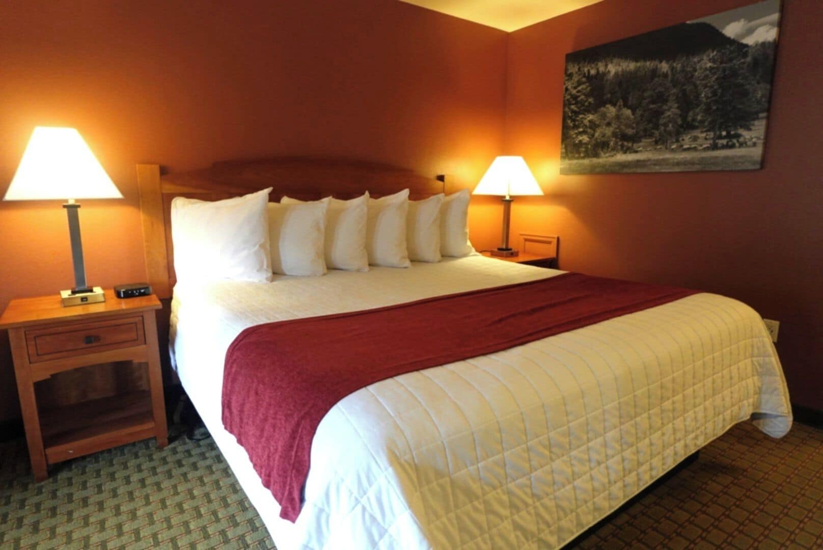 Standard King with Kitchenette (Not pet friendly) | Iron/ironing board, free WiFi, bed sheets