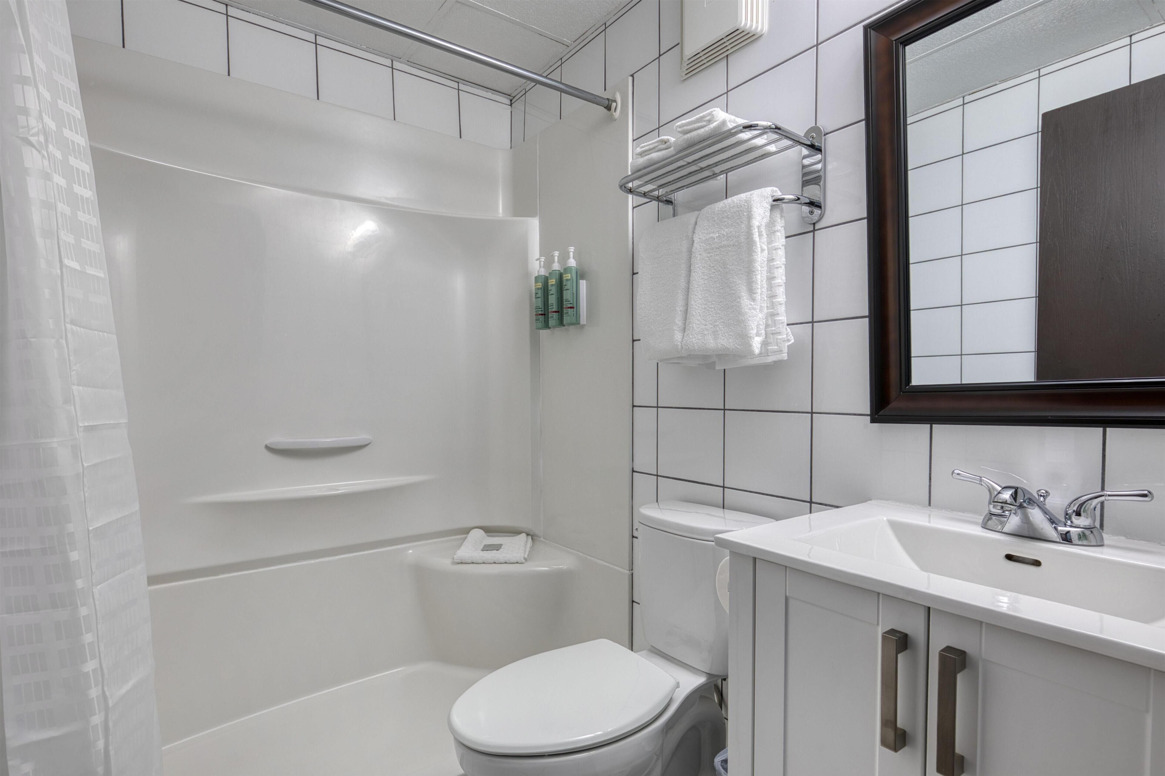 A bathroom with a white toilet, a shower, a sink, and a mirror.