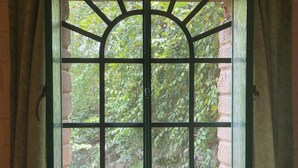 Una ventana con marco verde y vistas a árboles.