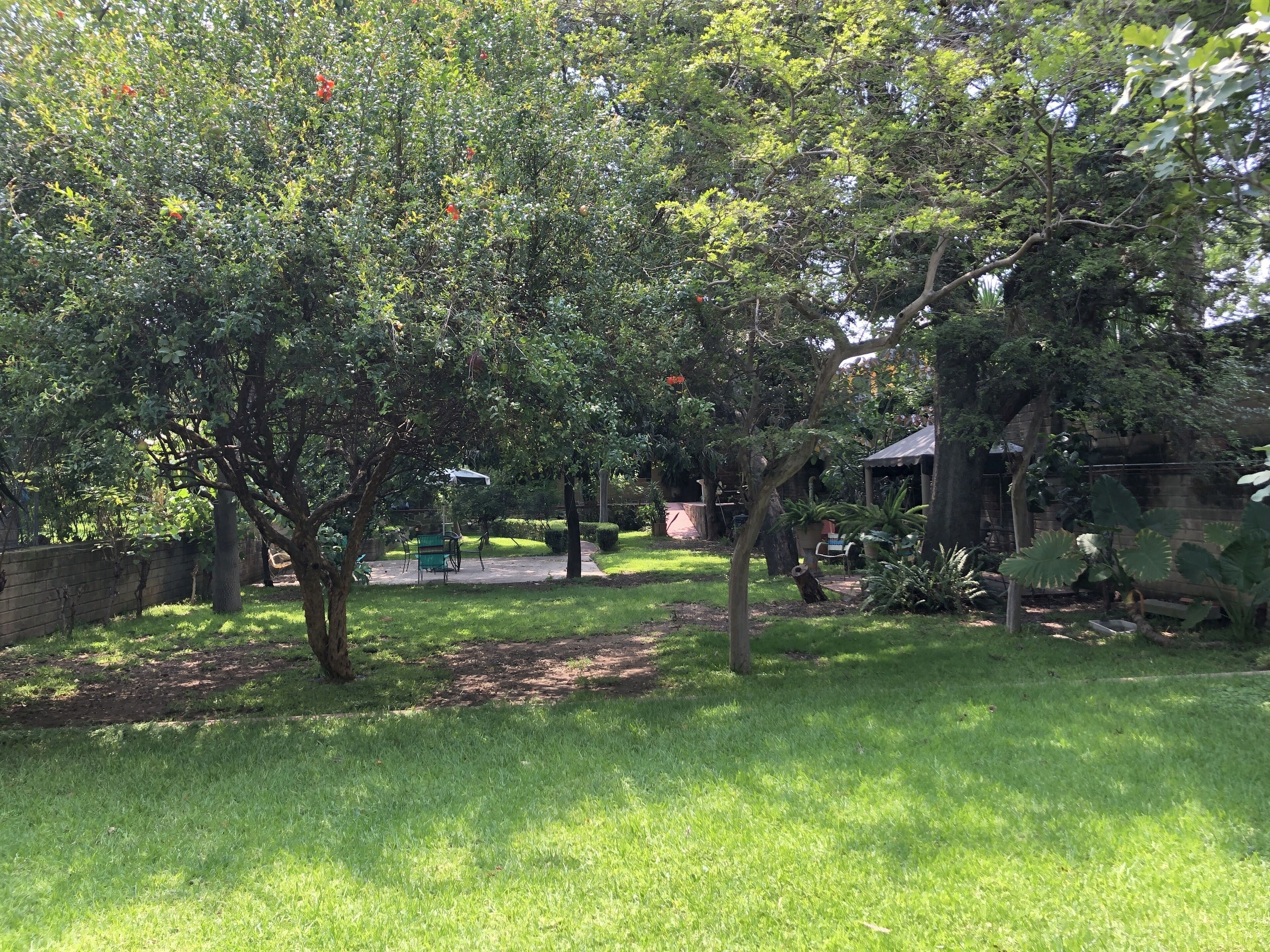 A lush garden with a variety of trees, a paved walkway, and a rustic outdoor seating area.