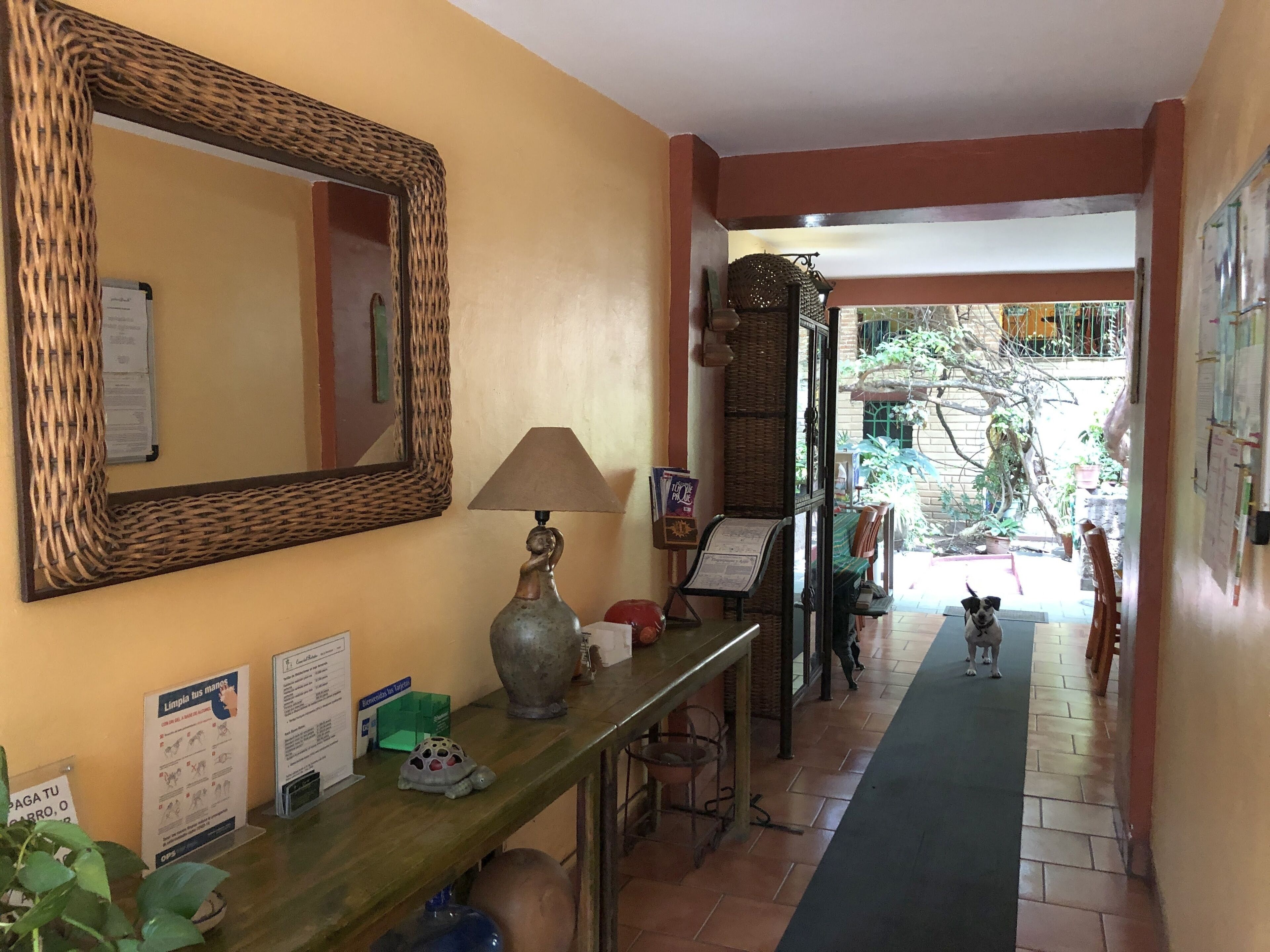 Foto - Casa del Retoño