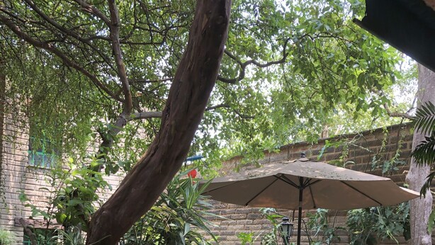 Un patio con una jardinera de piedra, sillas de plástico blanco y una sombrilla.