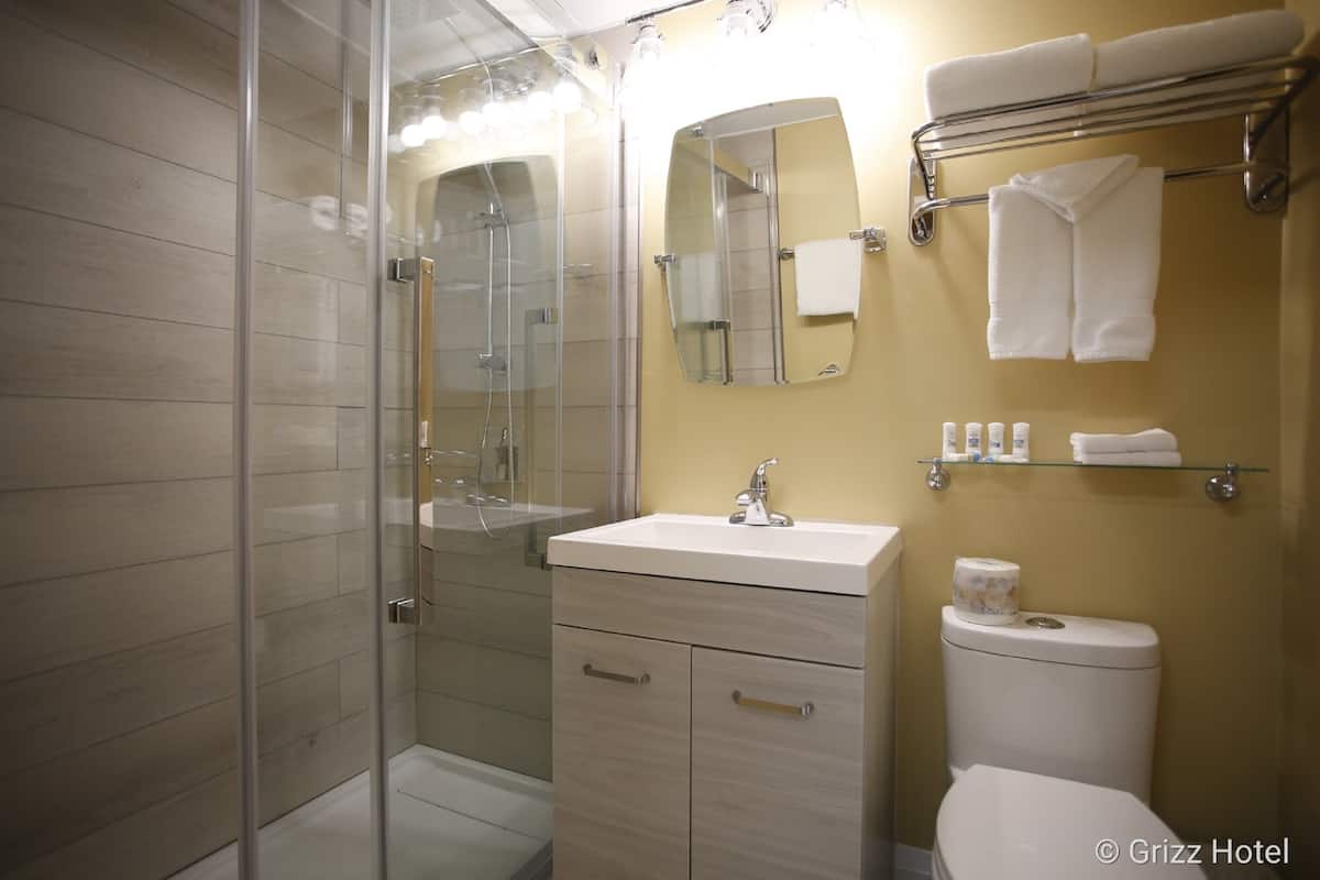 shower, rainfall showerhead, free toiletries, towels