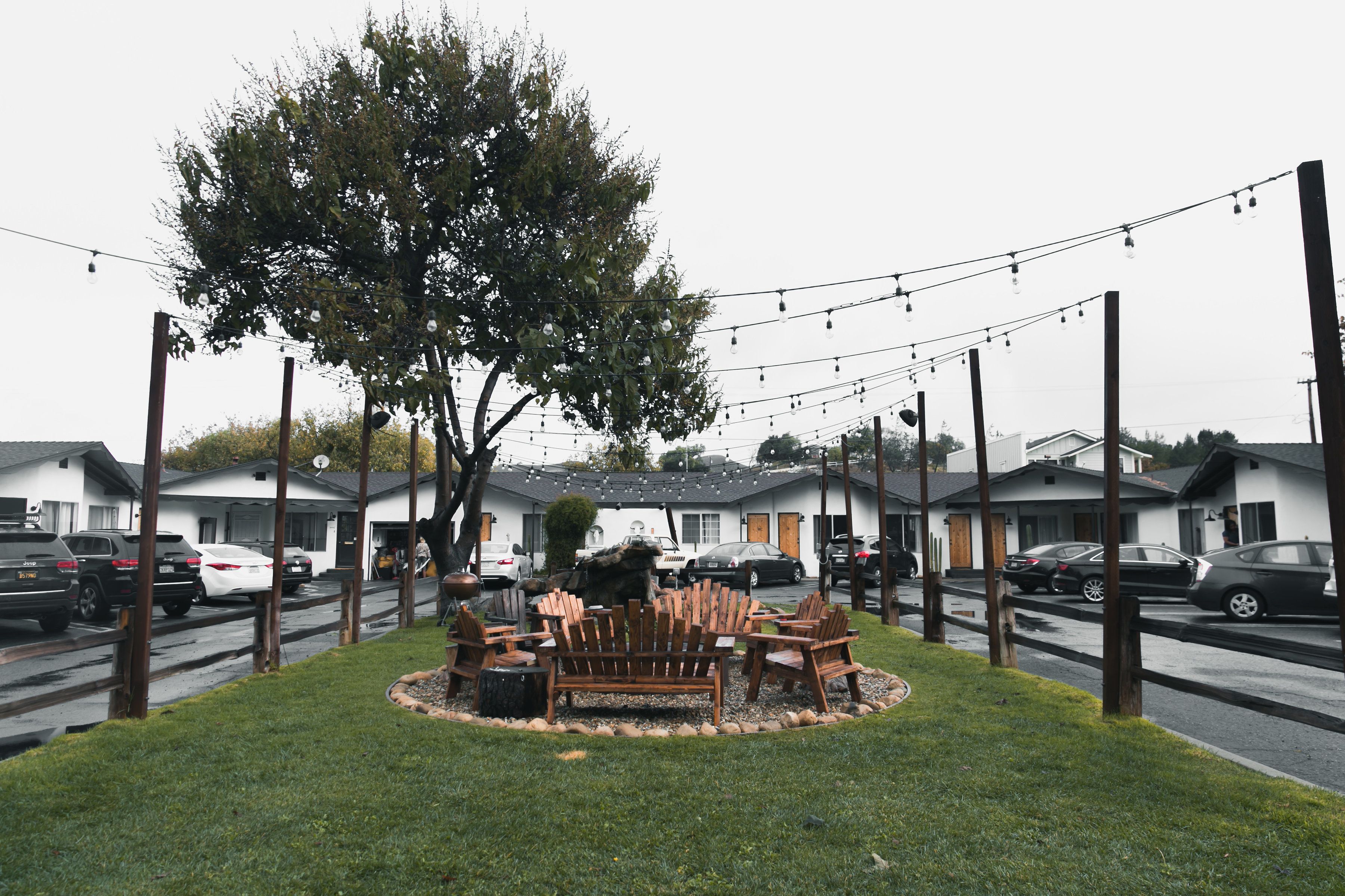 A grassy area with wooden chairs and a bench, surrounded by a tree and string lights.