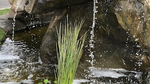 A rock waterfall feature in front of a building with an 'OFFICE' sign. - Alamo Motel (Los Alamos)