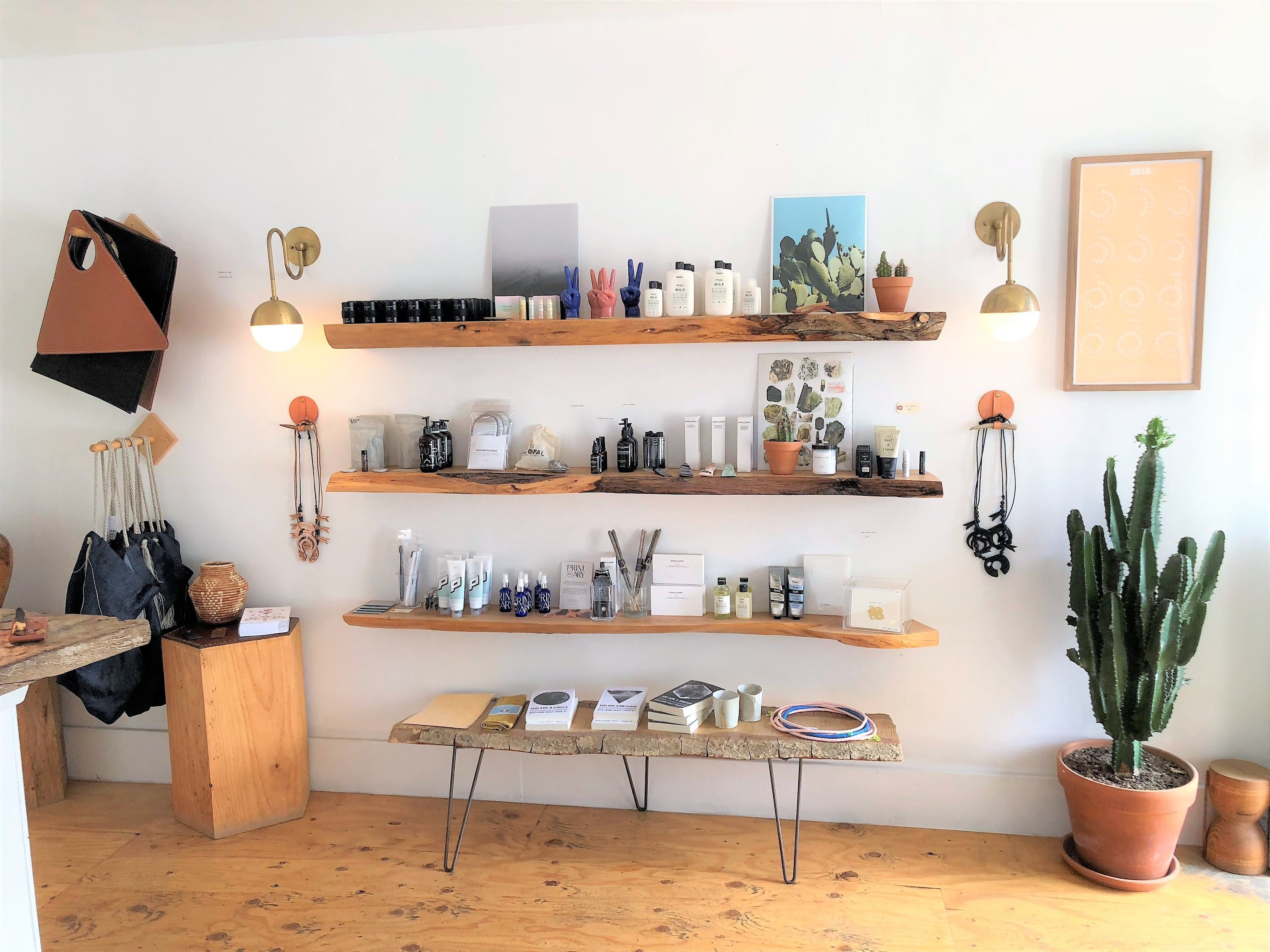 Una habitación con estanterías de madera que exhiben varios objetos, una mesa con libros y una planta en maceta, y una lámpara colgante.