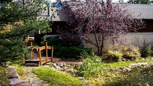 A wooden bench in a garden with a pond, surrounded by rocks and greenery.