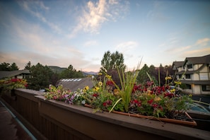 Terrace/patio - Appenzell Inn (Estes Park)