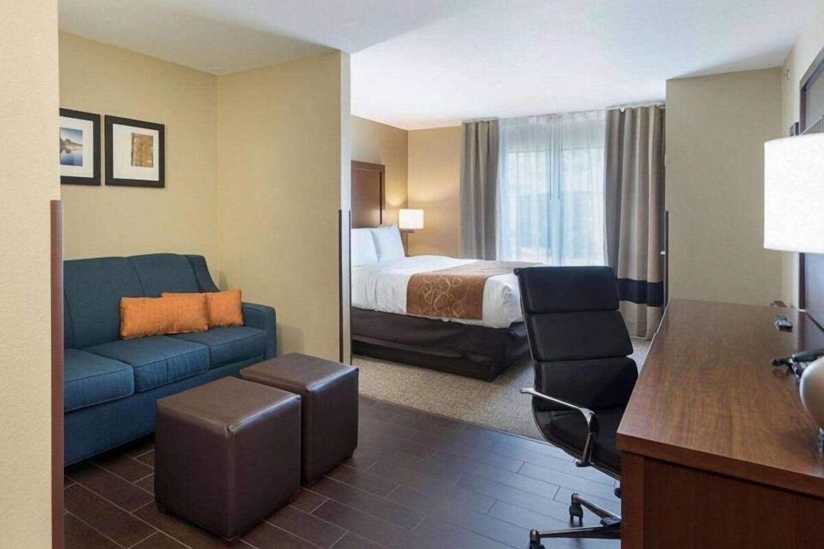 A hotel room with a bed, a desk, a chair, a sofa, and a small table.