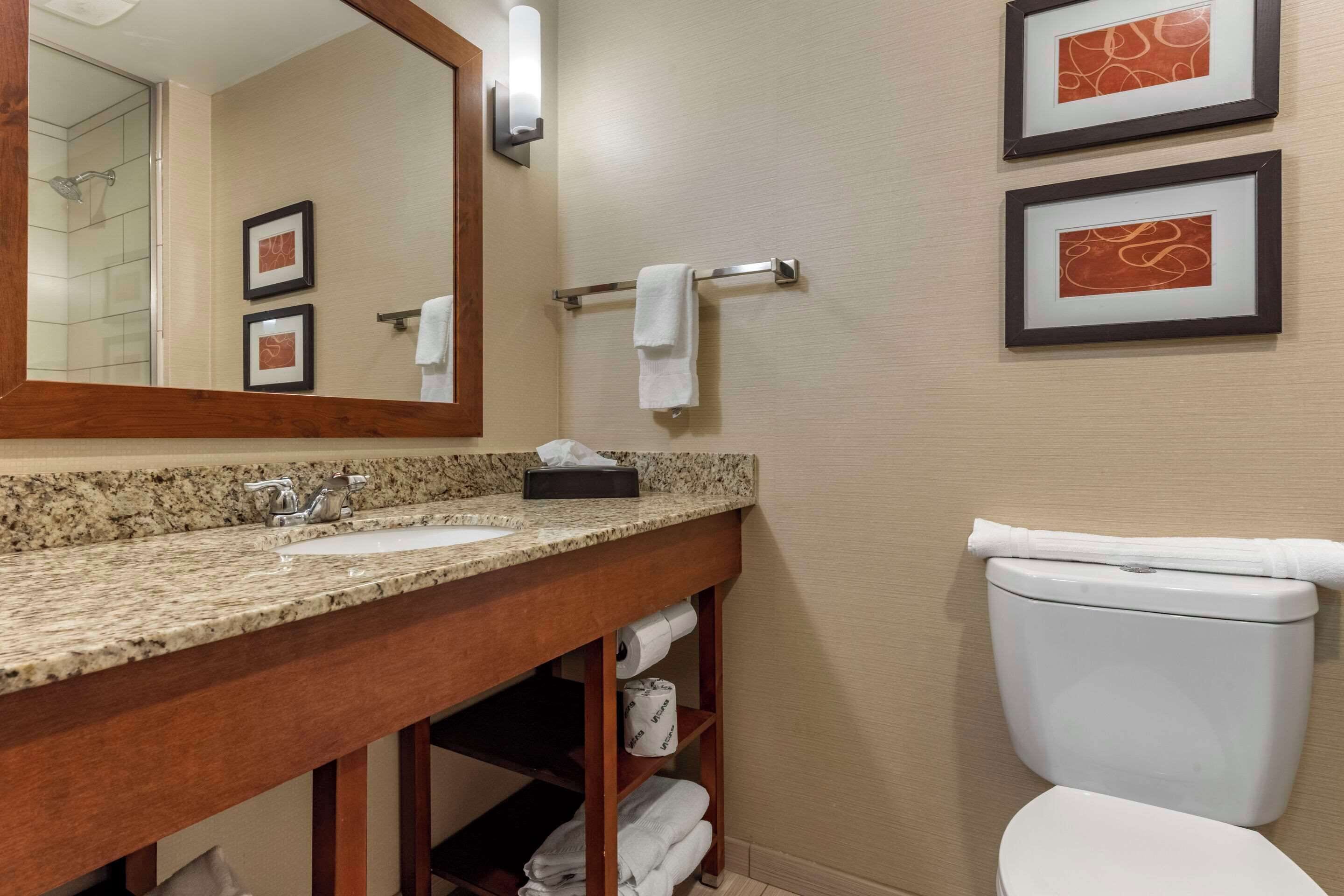 deluxe suite, 1 king bed with sofa bed, non smoking | 1 bedroom, in-room safe, desk, laptop workspace