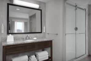 Bathroom shower - Hampton Inn & Suites Mishawaka/South Bend at Heritage Square (Granger)