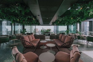 Rooftop terrace