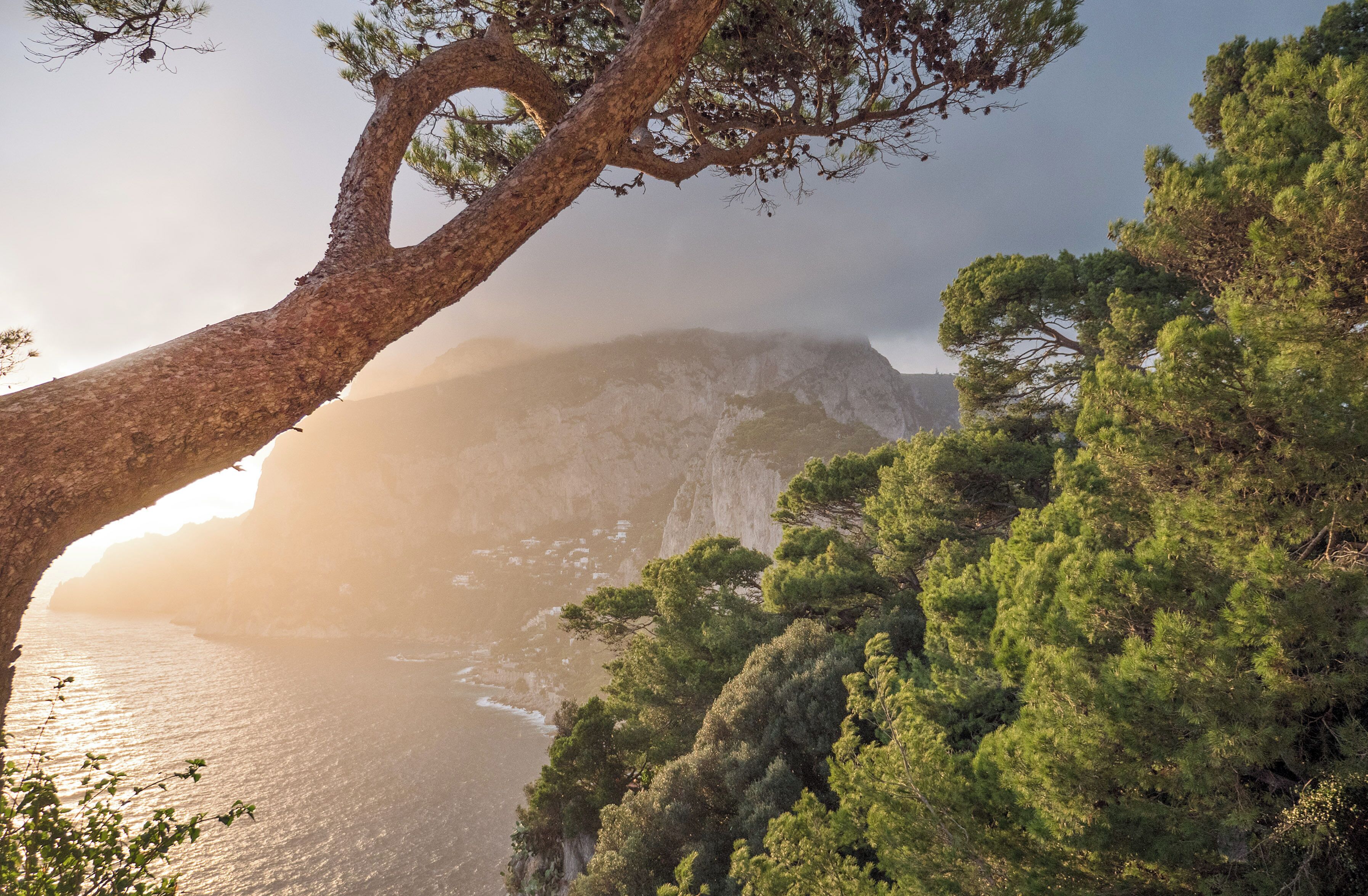 Photo - Hotel Villa Brunella