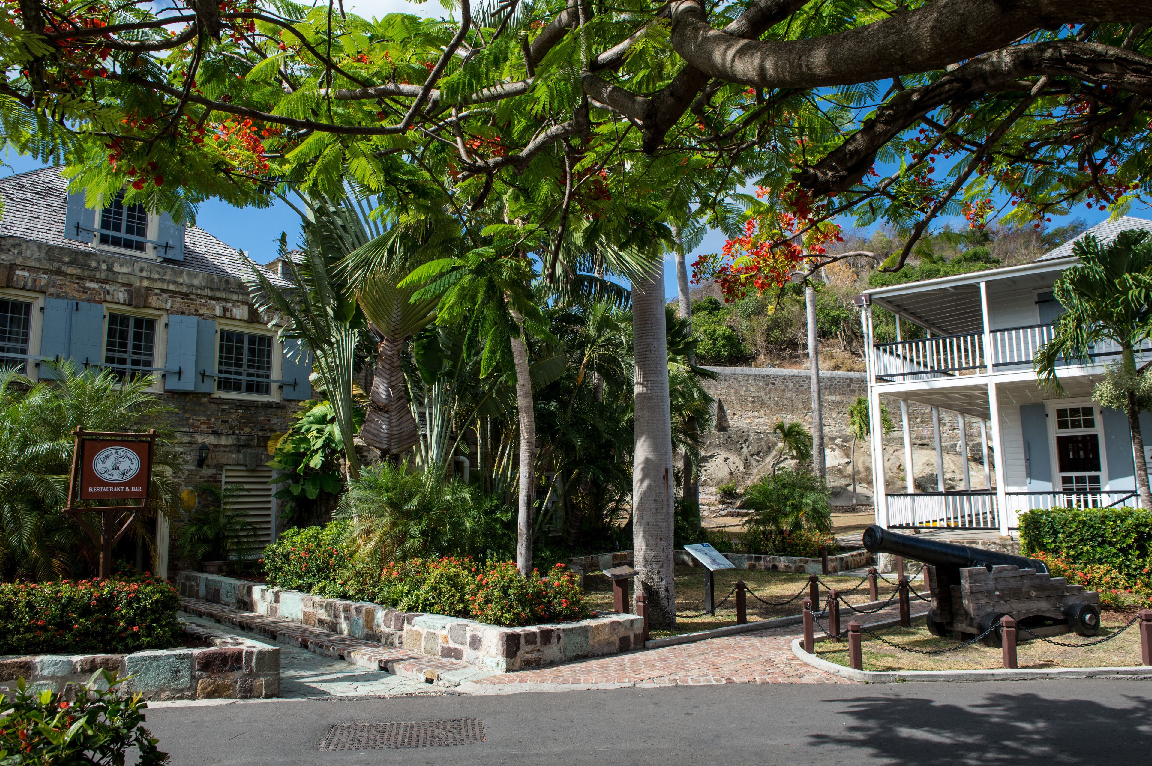 contemporary studio (continental breakfast included) | garden view