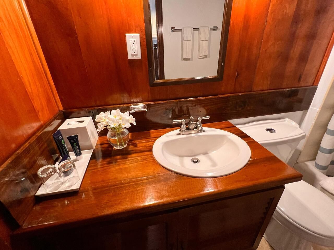 georgian suite (continental breakfast included) | bathroom | shower, free toiletries, hair dryer, bathrobes