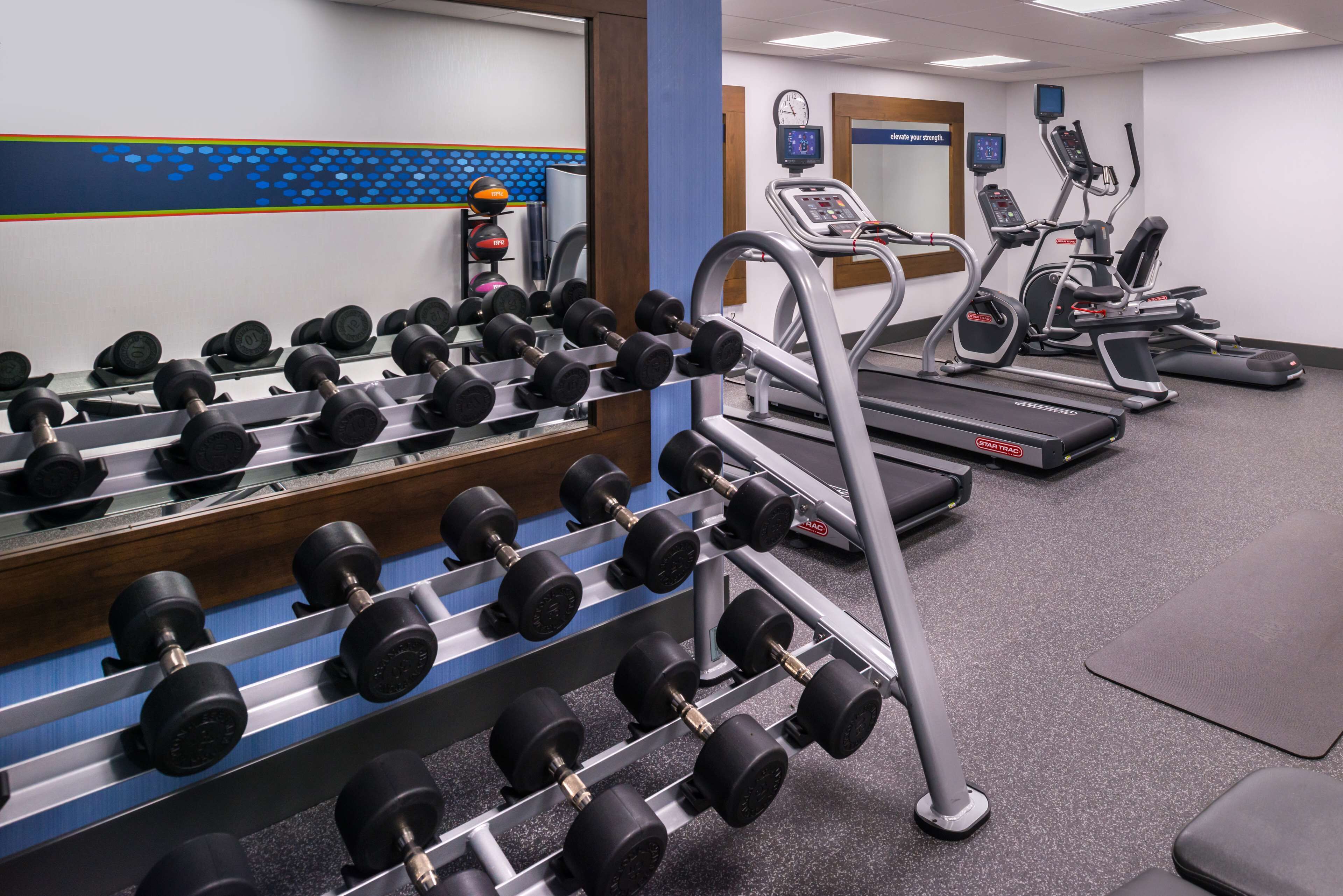 A gym with dumbbells, treadmills, and exercise equipment.