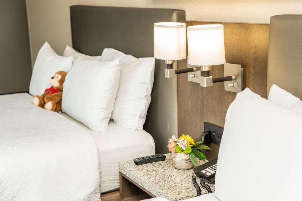 Caja fuerte, cortinas opacas, wifi gratis y ropa de cama