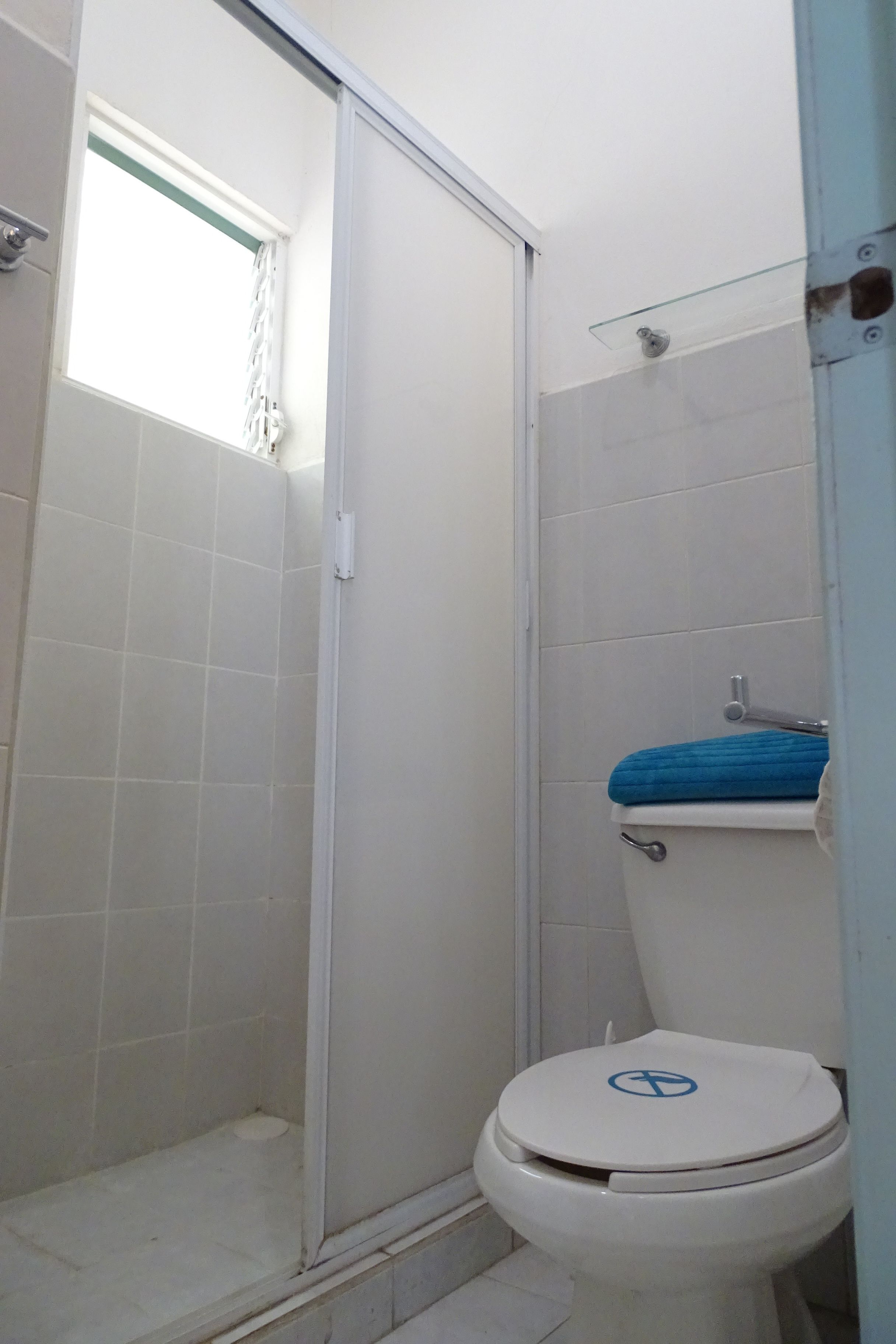 A bathroom with a toilet, a shower, and a window.