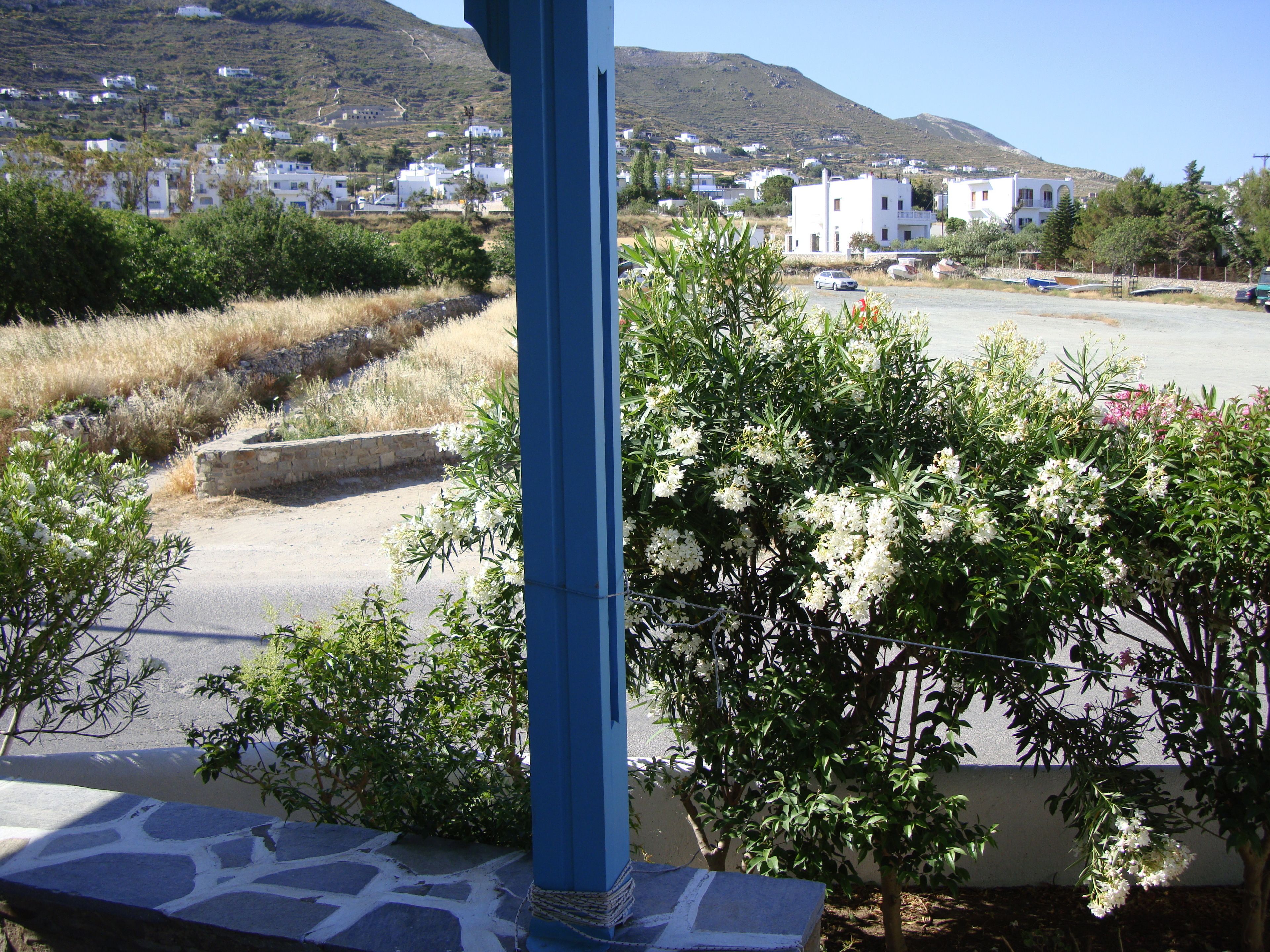 高级公寓, 1 间卧室 | 露台