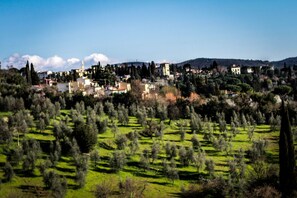 Exterior - Villa Morghen (Florence)